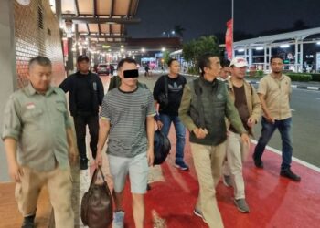 Dari Tanjung Priok ke Pontianak, Kemenhut Buru Jaringan Perdagangan Sisik Trenggiling